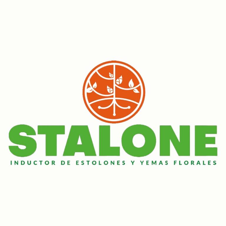 Home 4 stalone