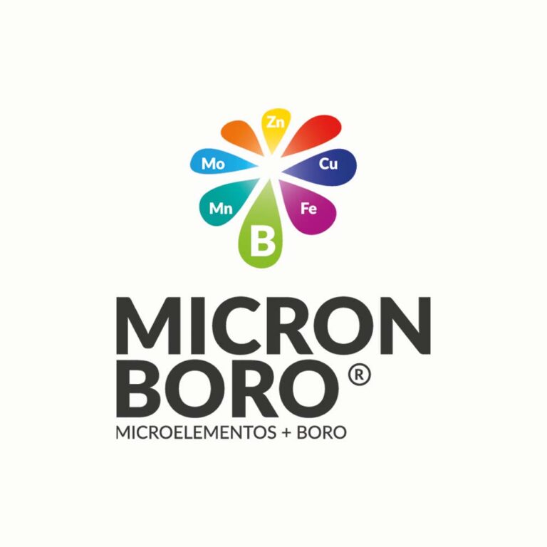 Home 6 micron boro