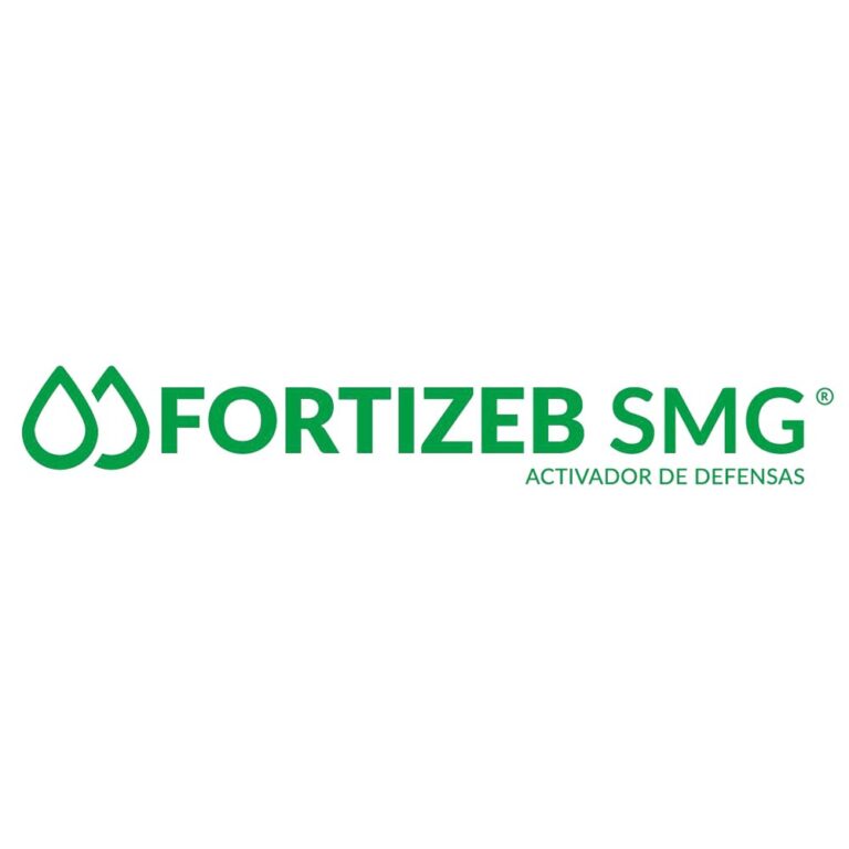 Home fortizeb smg