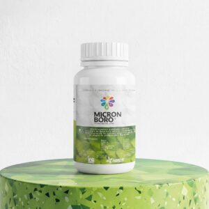 replace water with boron product 202608021739